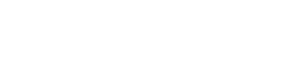 Logo voice white